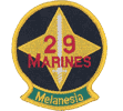 第29海兵連隊