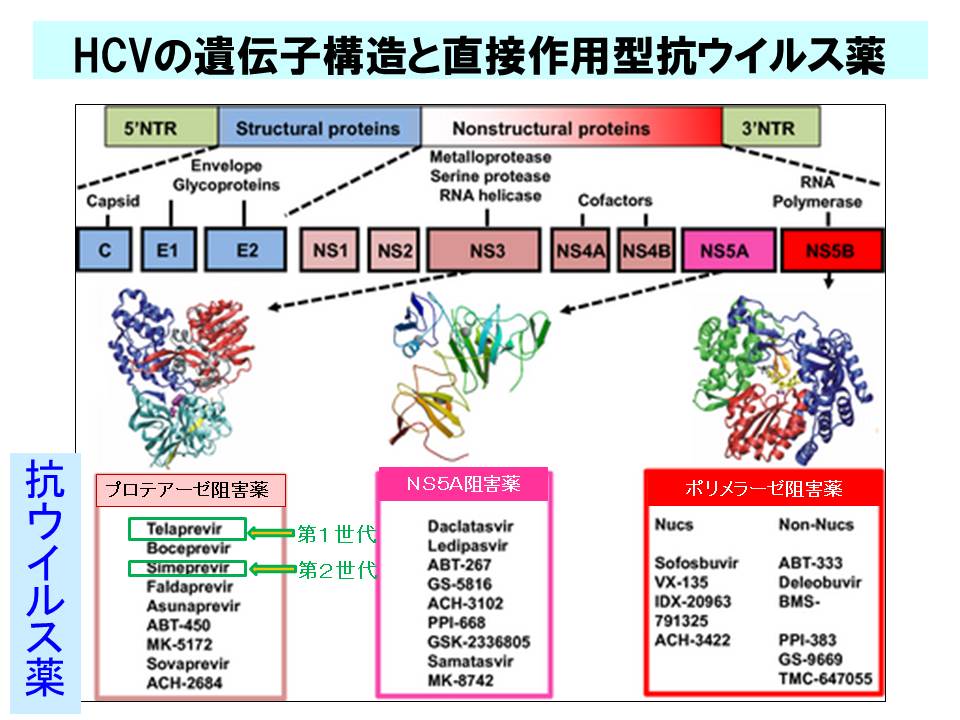 XCh摜