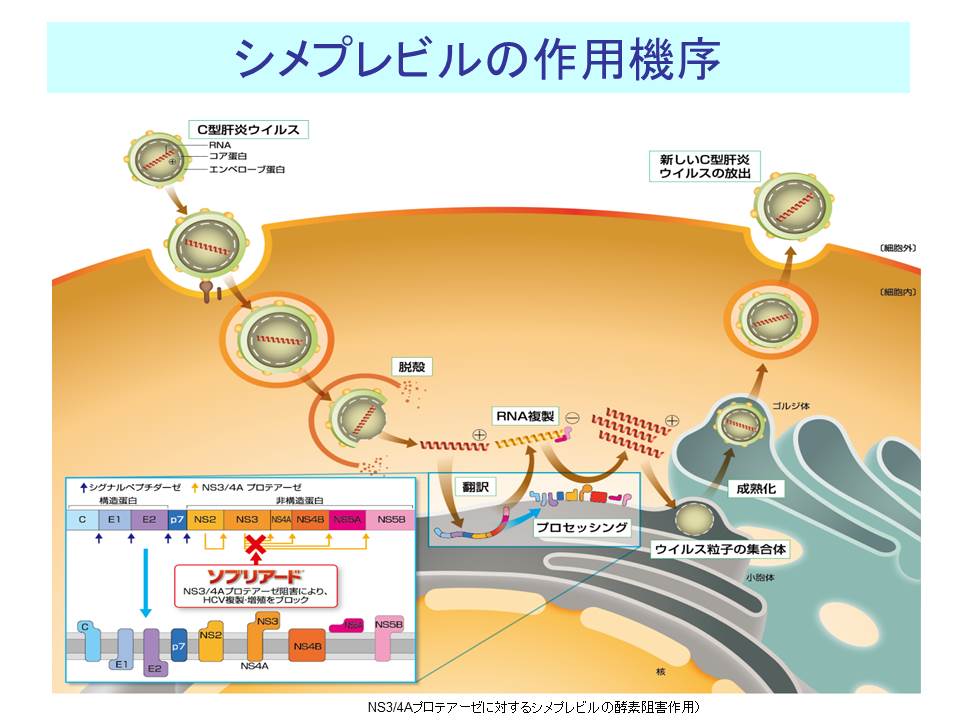 XCh摜