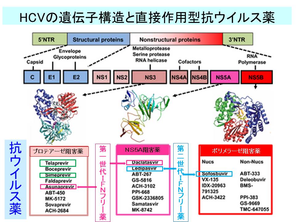 XCh摜