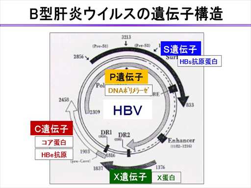 XCh摜