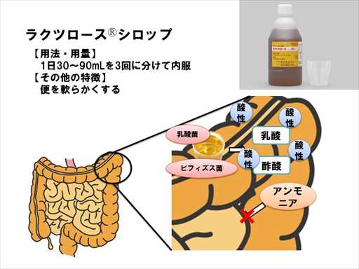 XCh摜