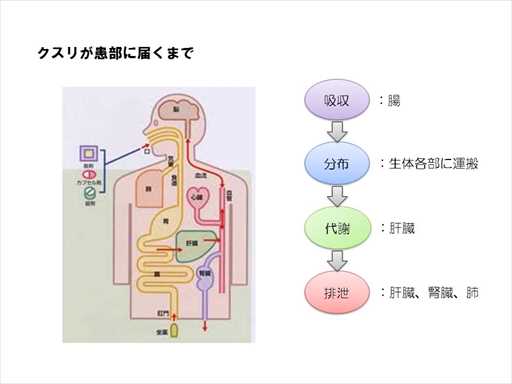 XCh摜