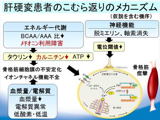 XCh摜