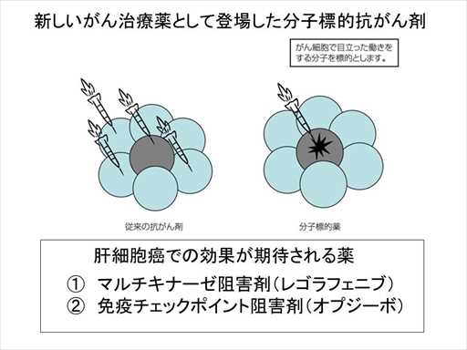 XCh摜