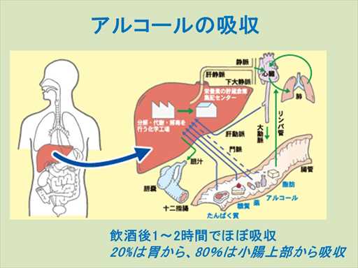 XCh摜