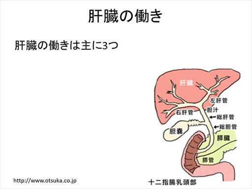 XCh摜