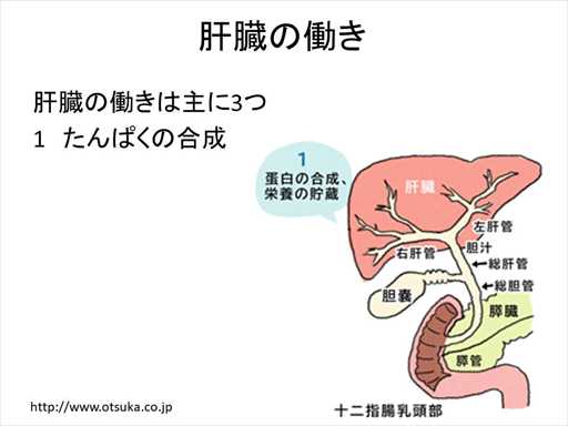 XCh摜