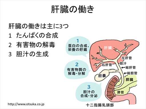 XCh摜