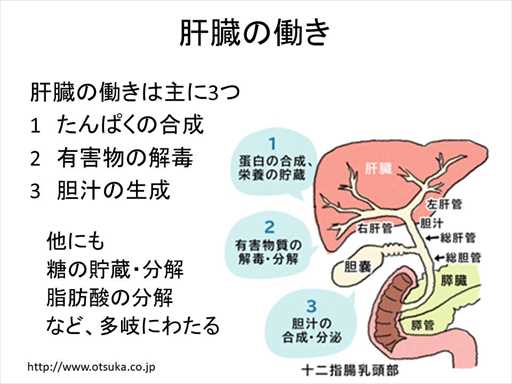 XCh摜