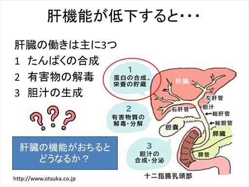 XCh摜