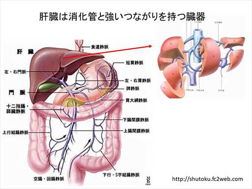 XCh摜