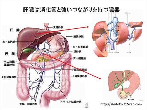 XCh摜